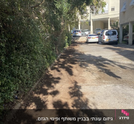 שביל עם צמחייה ועצים בצדדים